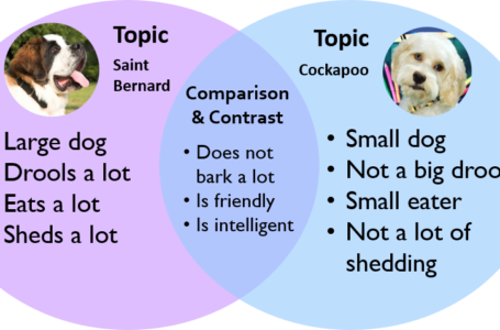 Compare AND Contrast Essay