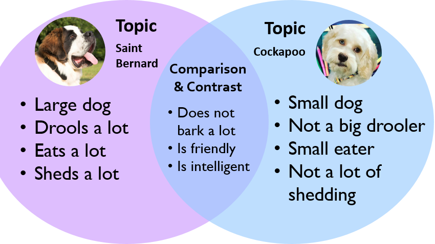  Compare AND Contrast Essay